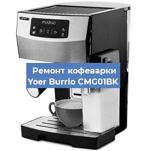 Ремонт капучинатора на кофемашине Yoer Burrio CMG01BK в Москве